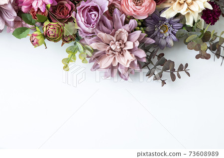 花白背 照片素材 圖片 7360 圖庫