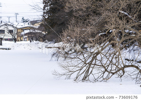 Moat (moat) of Yonezawa Castle Ruins (Uesugi Shrine) in winter Frozen branch Yonezawa City, Yamagata Prefecture 73609176