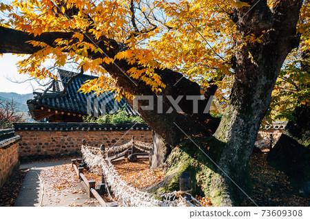 Andong Hahoe Folk Village at autumn in Andong, Korea Andong Hahoe Folk Village at autumn in Andong, Korea 73609308