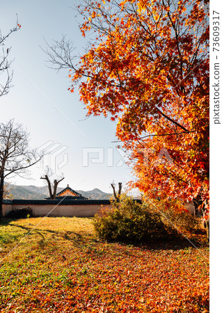 Andong Hahoe Folk Village at autumn in Andong, Korea Andong Hahoe Folk Village at autumn in Andong, Korea 73609317