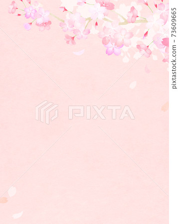Cherry blossom background-there are multiple variations Cherry blossom background-there are multiple variations 73609665