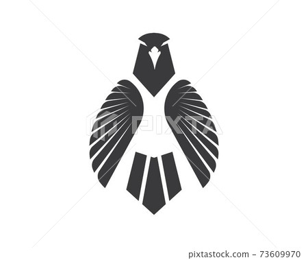 Falcon Eagle Bird Logo Template vector 73609970