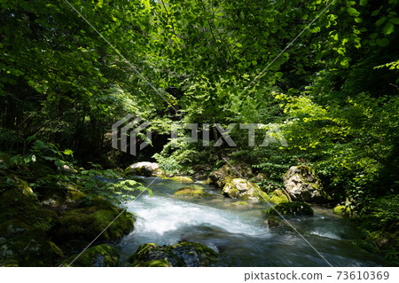 Scenery of the mountain stream in the Kawachi area of the Serikawa headwaters in Shiga prefecture Scenery of the mountain stream in the Kawachi area of the Serikawa headwaters in Shiga prefecture 73610369