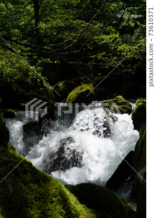 Scenery of the mountain stream in the Kawachi area of the Serikawa headwaters in Shiga prefecture Scenery of the mountain stream in the Kawachi area of the Serikawa headwaters in Shiga prefecture 73610371