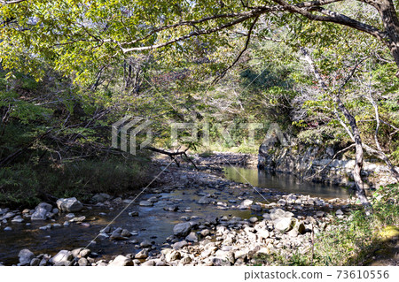 神戶市道場鎌倉峽谷的初秋景色 73610556
