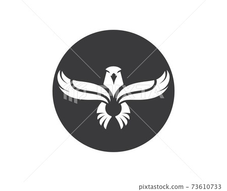falcon,eagle logo icon vector illustration design falcon,eagle logo icon vector illustration design 73610733