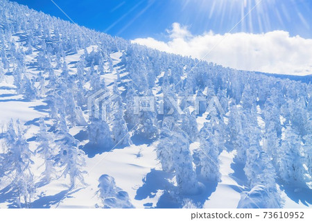 Zao's rime and blue sky Yamagata City, Yamagata Prefecture Zao's rime and blue sky Yamagata City, Yamagata Prefecture 73610952