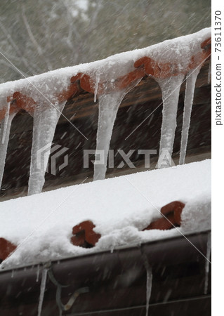 Icicles created by the invasion of a strong cold wave 73611370