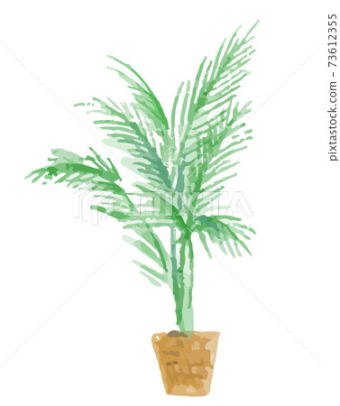 Foliage plant  73612355