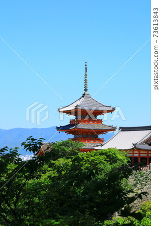 Kiyomizu-dera fresh green three-storied pagoda Kiyomizu-dera fresh green three-storied pagoda 73613843