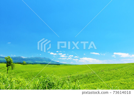 Aso in Kumamoto Prefecture Aozora 73614018
