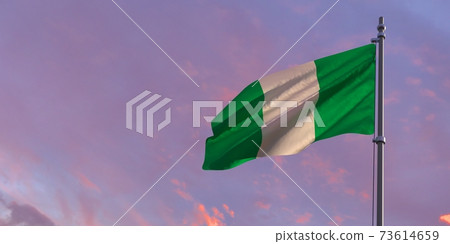 3d rendering of the national flag of the Nigeria 3d rendering of the national flag of the Nigeria 73614659