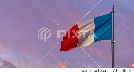 3d rendering of the national flag of the France 3d rendering of the national flag of the France 73614660