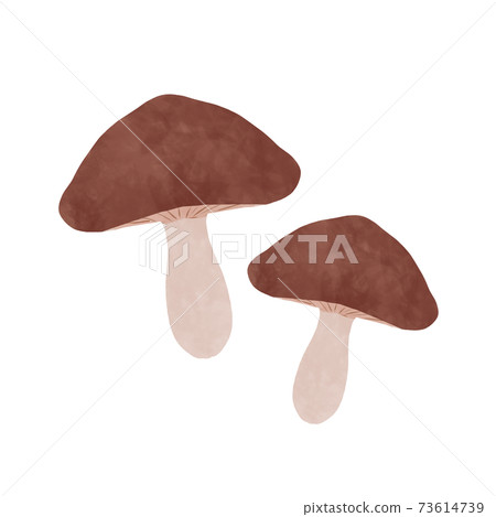 mushroom mushroom 73614739