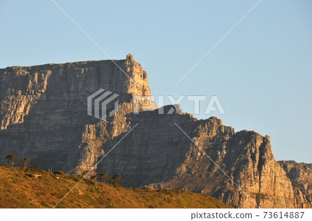 南非，開普敦，桌山 73614887