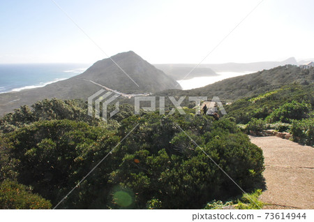 South Africa, Cape Peninsula, Cape of Good Hope Nature Reserve, Cape Point 73614944