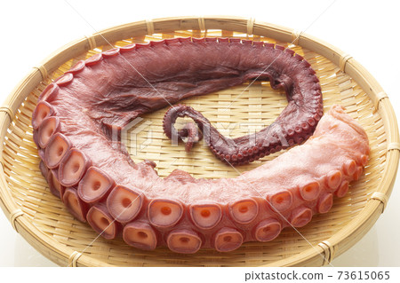 Hokkaido octopus 73615065