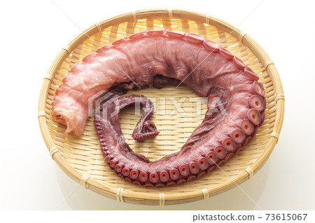 Hokkaido octopus Hokkaido octopus 73615067