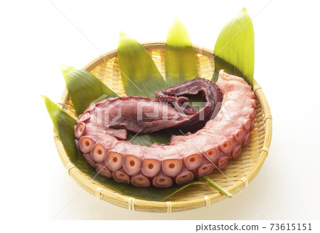 Hokkaido octopus 73615151