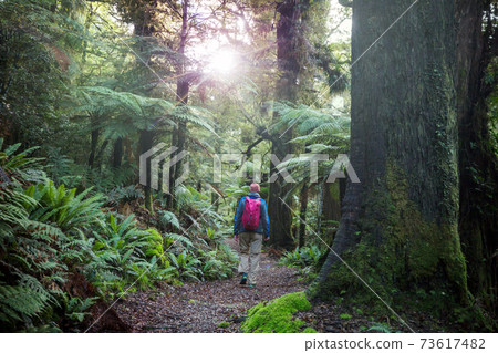 Tramping Tramping 73617482