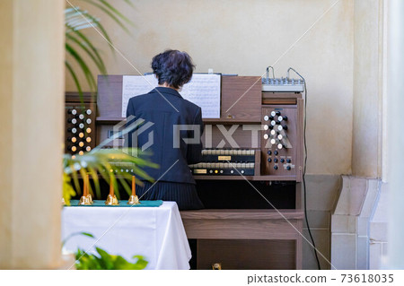 婚禮器官 婚禮器官 73618035