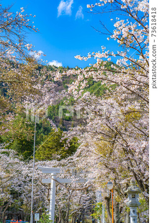 春天有明山神社[長野縣] 73618418