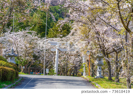春天有明山神社[長野縣] 73618419