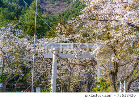 Spring Ariakezan Shrine [Nagano Prefecture] 73618420
