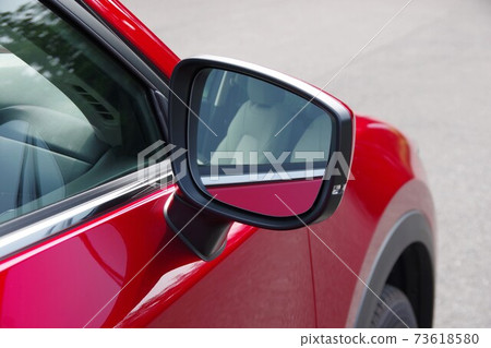 door mirror 73618580