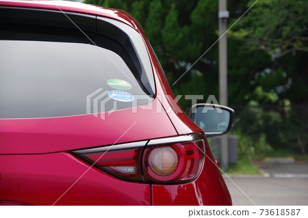 Car tail lamp 73618587