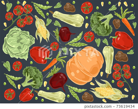 Natural vegetables, pumpkin, cabbage, tomatoes, paprika, broccoli, corn, carrot, beetroot, potatoes, organic nutrition set 73619434