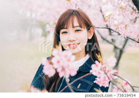 Kawazu cherry blossoms and young women Kawazu cherry blossoms and young women 73619454