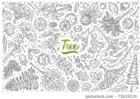 Hand drawn tree set doodle vector background 73619529