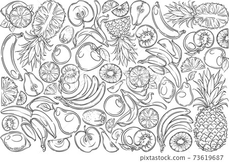 Hand drawn fresh fruits banana, pineapple Hand drawn fresh fruits banana, pineapple 73619687
