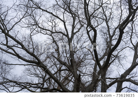 Jeongseup, Jeongeup, Jeonbuk 73619835