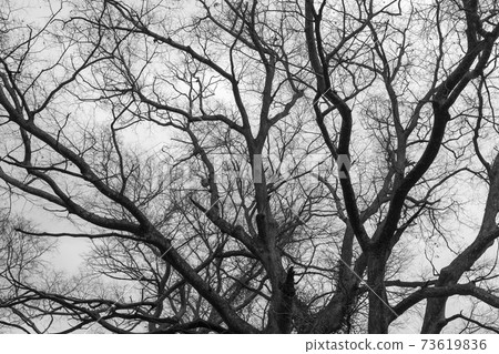 Jeongseup, Jeongeup, Jeonbuk 73619836