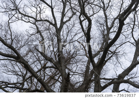 Jeongseup, Jeongeup, Jeonbuk 73619837