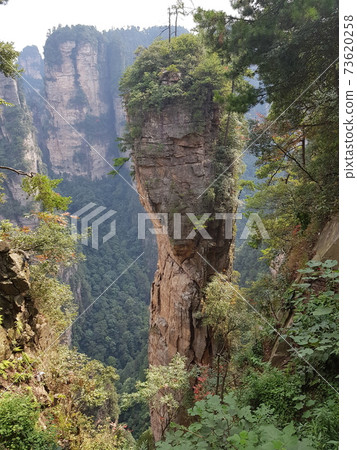 張家界怪石的壯麗景色 73620258