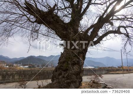 Chilbo-myeon, Jeongeup-si, Jeonbuk 73620408