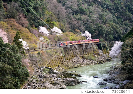 京都櫻花佐野野鶴子火車保津京 京都櫻花佐野野鶴子火車保津京 73620644