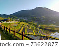A landscape where the rice terraces are flooded with water and the rising sun is reflected 73622877