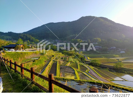 A landscape where the rice terraces are flooded with water and the rising sun is reflected 73622877