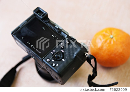 相機 73622909
