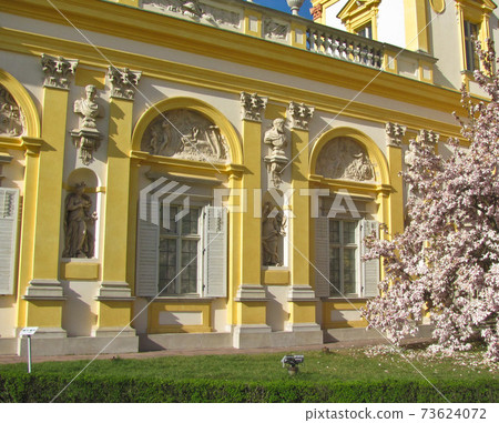 Royal Wilanow Palace in Warsaw, Poland. Magnolia tree. 73624072