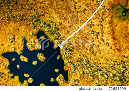 Miory District, Vitebsk Region, Belarus. The Yelnya Swamp. Aerial View Of Yelnya Nature Reserve Landscape. Narrow Wooden Hiking Trail Winding Through Marsh. Cognitive Boardwalk Trail Over A Wetland Miory District, Vitebsk Region, Belarus. The Yelnya Swamp. Aerial View Of Yelnya Nature Reserve Landscape. Narrow Wooden Hiking Trail Winding Through Marsh. Cognitive Boardwalk Trail Over A Wetland 73625299
