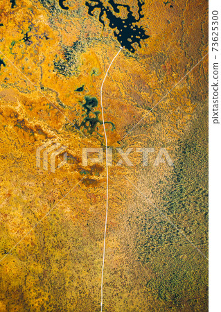 Miory District, Vitebsk Region, Belarus. The Yelnya Swamp. Upland And Transitional Bogs With Numerous Lakes. Elevated Aerial View Of Yelnya Nature Reserve Landscape. Famous Natural Landmark 73625300