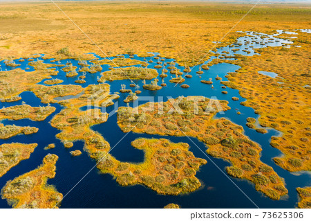 Miory District, Vitebsk Region, Belarus. The Yelnya Swamp. Upland And Transitional Bogs With Numerous Lakes. Elevated Aerial View Of Yelnya Nature Reserve Landscape. Famous Natural Landmark 73625306