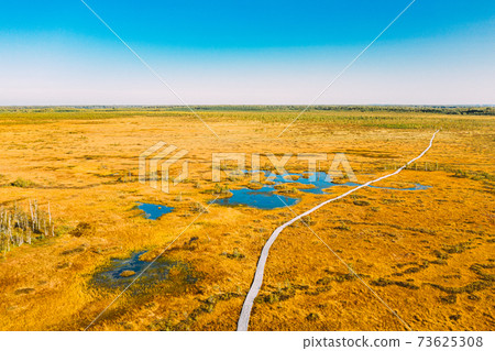 Miory District, Vitebsk Region, Belarus. The Yelnya Swamp. Aerial View Of Yelnya Nature Reserve Landscape. Narrow Wooden Hiking Trail Winding Through Marsh. Cognitive Boardwalk Trail Over A Wetland 73625308