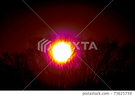 太陽耀斑 73625739