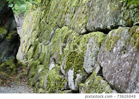 石垣與苔蘚 石垣與苔蘚 73626848